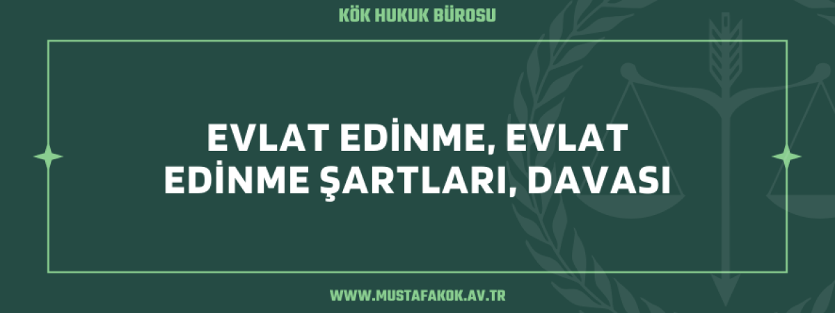 Evlat Edinme, Evlat Edinme Şartları, Davası